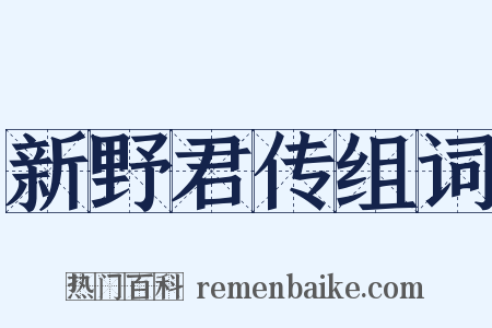 新野君传组词是什么意思的图片